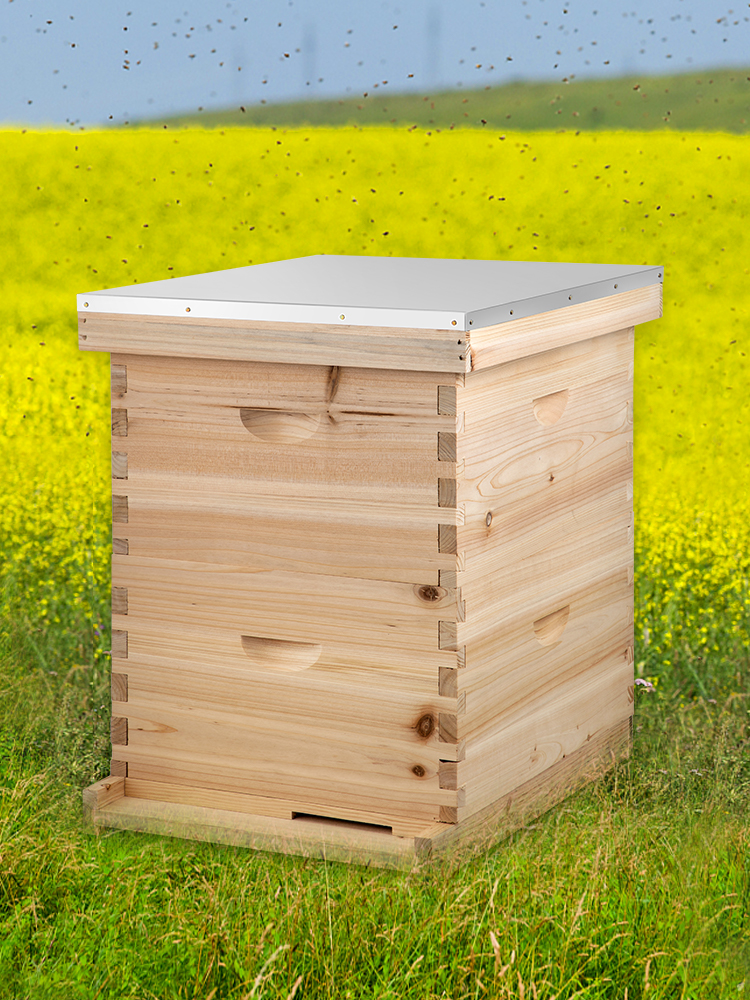 VEVOR Beehive Complete Box Kit 20 Frame(10 Deep-10 Medium) Langstroth ...