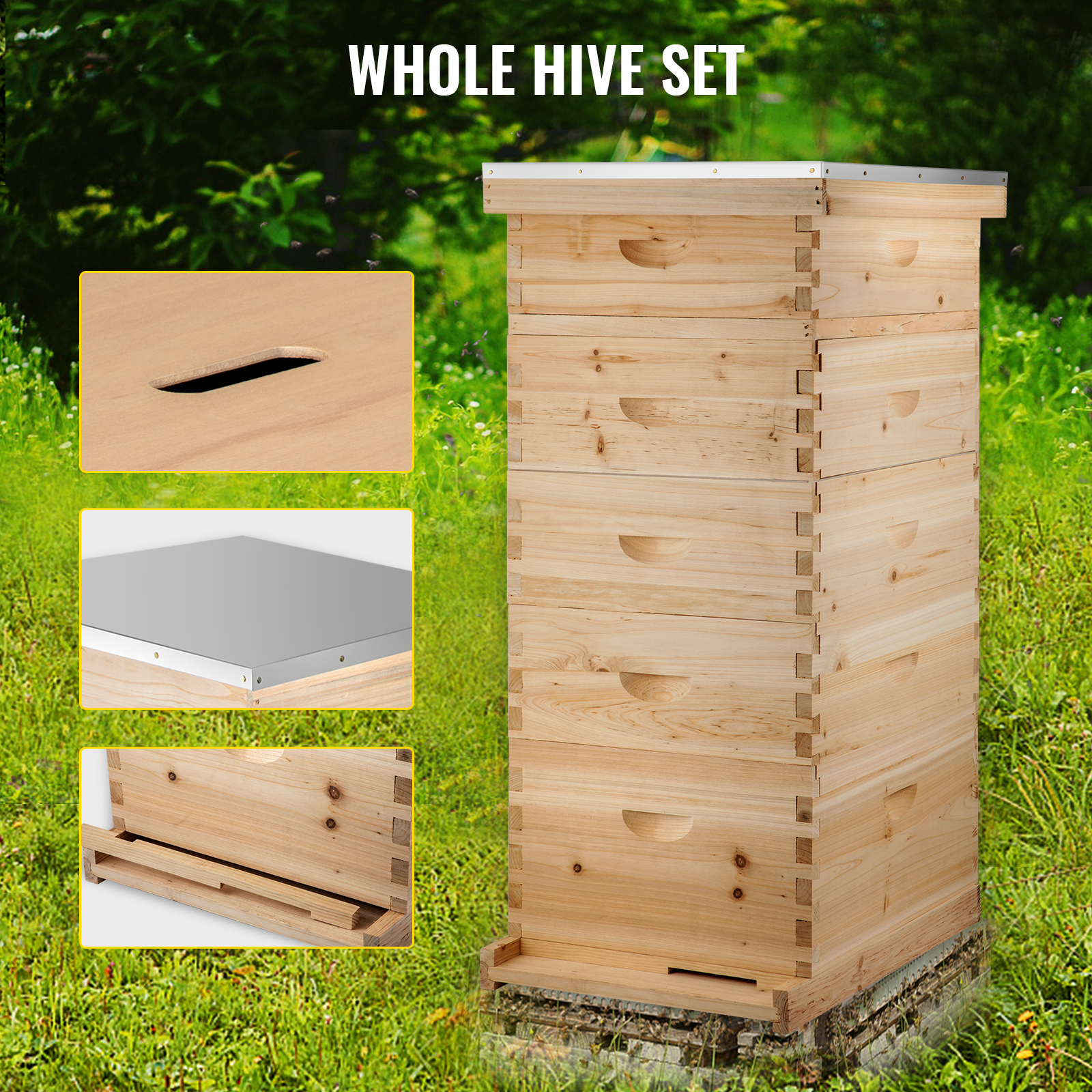 5 Box 10-Frame size Beehive Frames /Bee Hive Frame/ Bee House for Beekeeping 