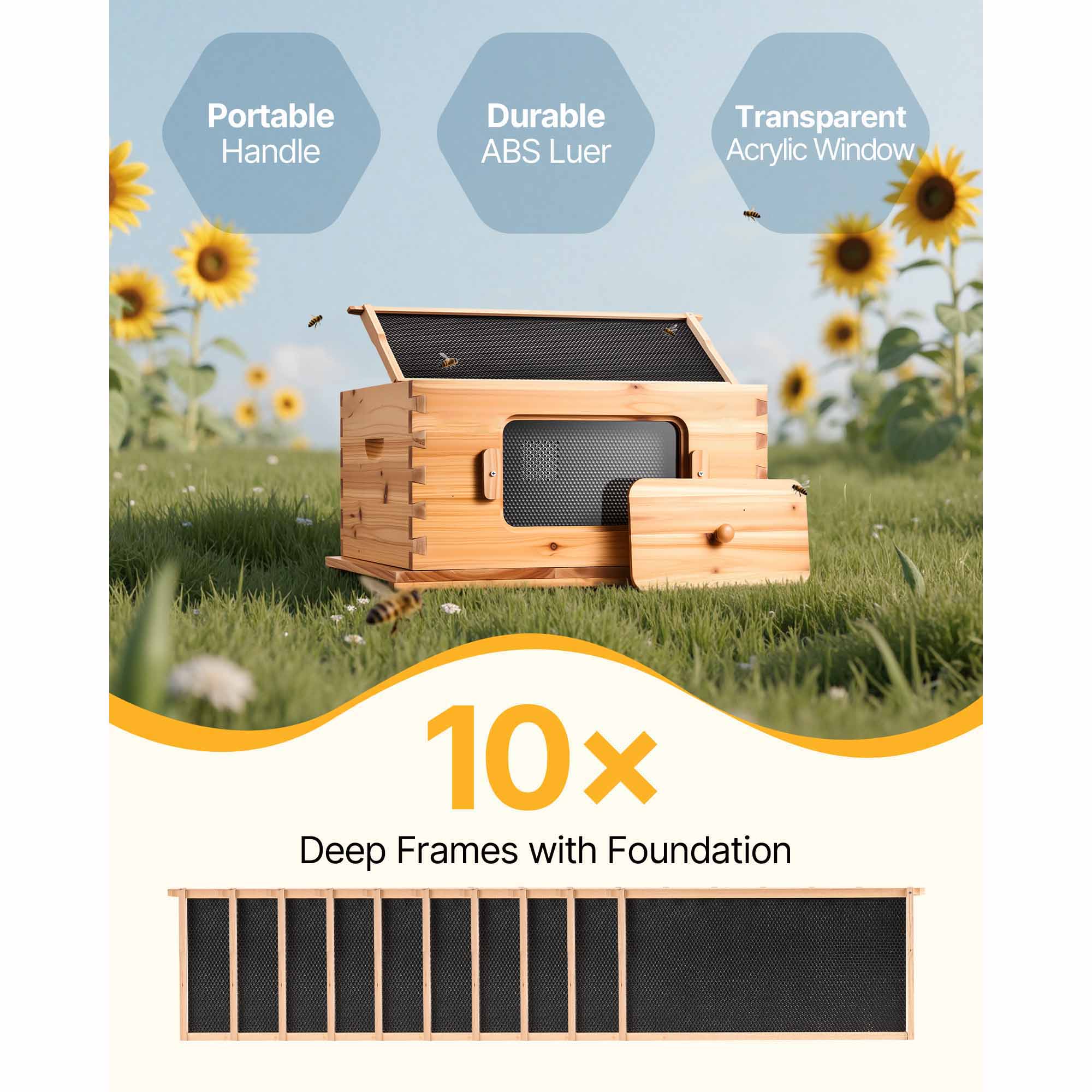 Bee Hive Langstroth Deep Beehive Kit 10 Frames Acrylic Bee Windows | eBay