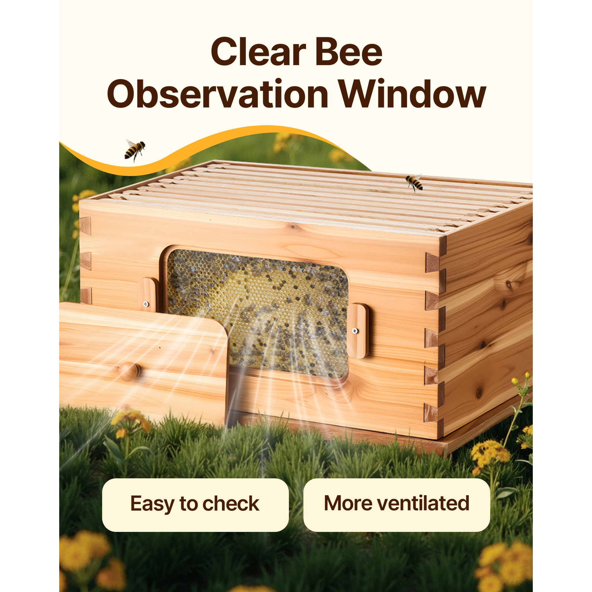 Bee Hive Langstroth Deep Beehive Kit 10 Frames Acrylic Bee Windows | eBay