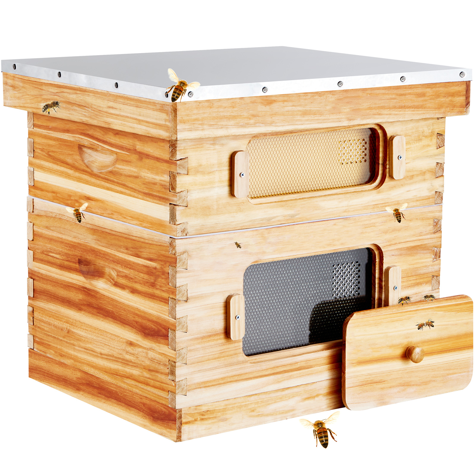 Bee Hive Langstroth Deep Beehive Kit 10 Frames Acrylic Bee Windows | eBay