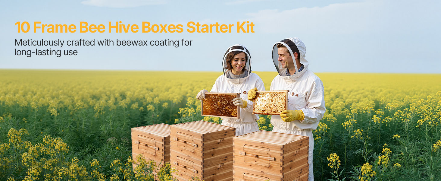 Bee Hive Langstroth Kit 20 Deep & 20 Medium Frames with Acrylic