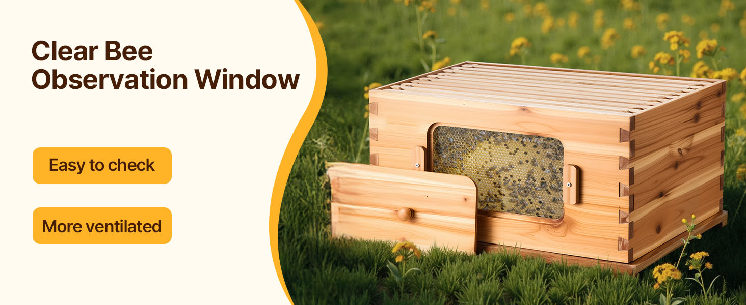 Bee Hive Langstroth Kit 20 Deep & 20 Medium Frames with Acrylic