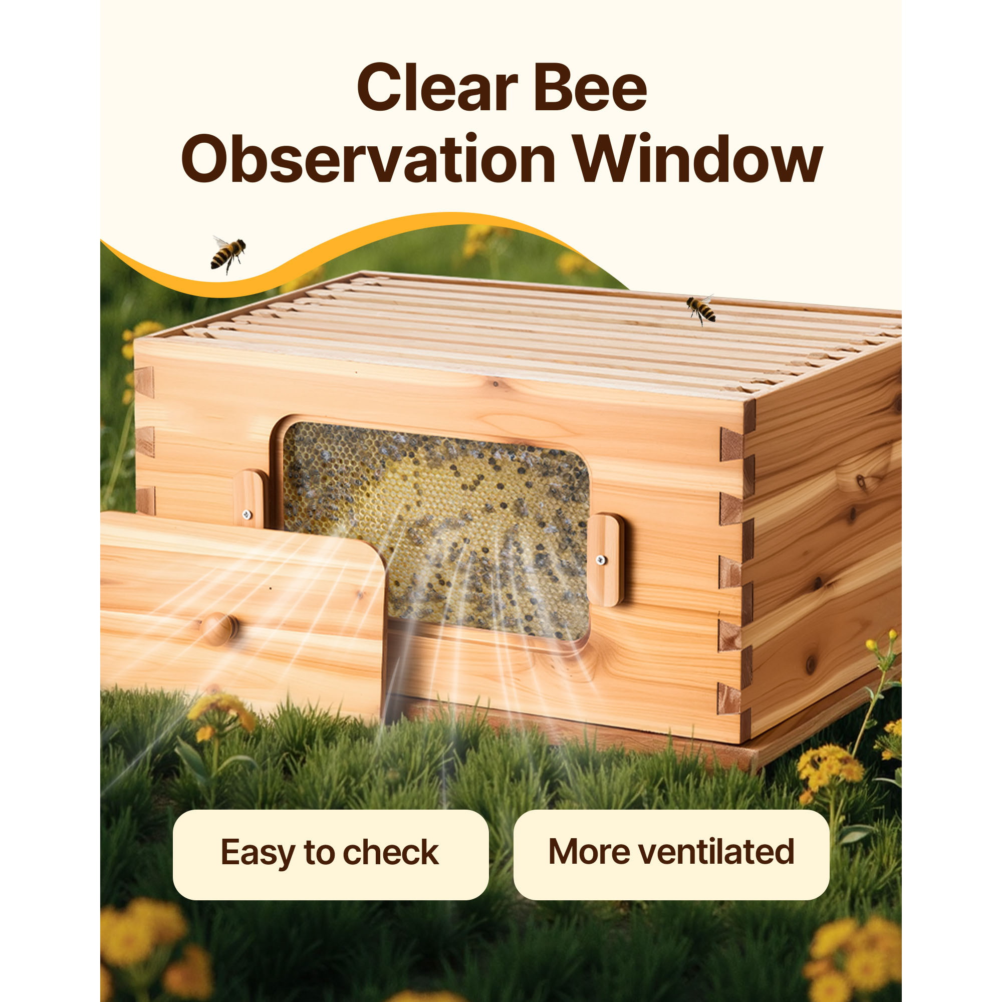 Bee Hive Langstroth Deep Beehive Kit 10 Frames Acrylic Bee Windows | eBay
