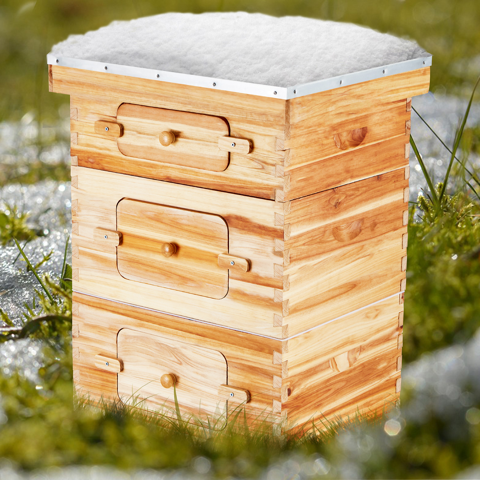 Bee Hive Langstroth Deep Beehive Kit 10 Frames Acrylic Bee Windows | eBay