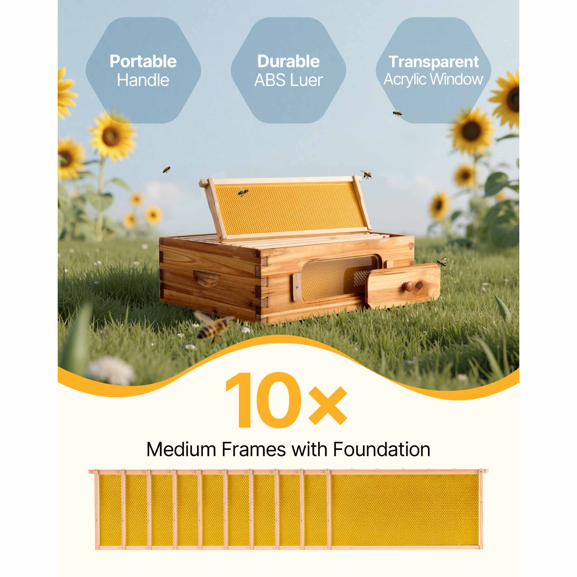 Bee Hive Langstroth Deep Beehive Kit 10 Frames Acrylic Bee Windows | eBay