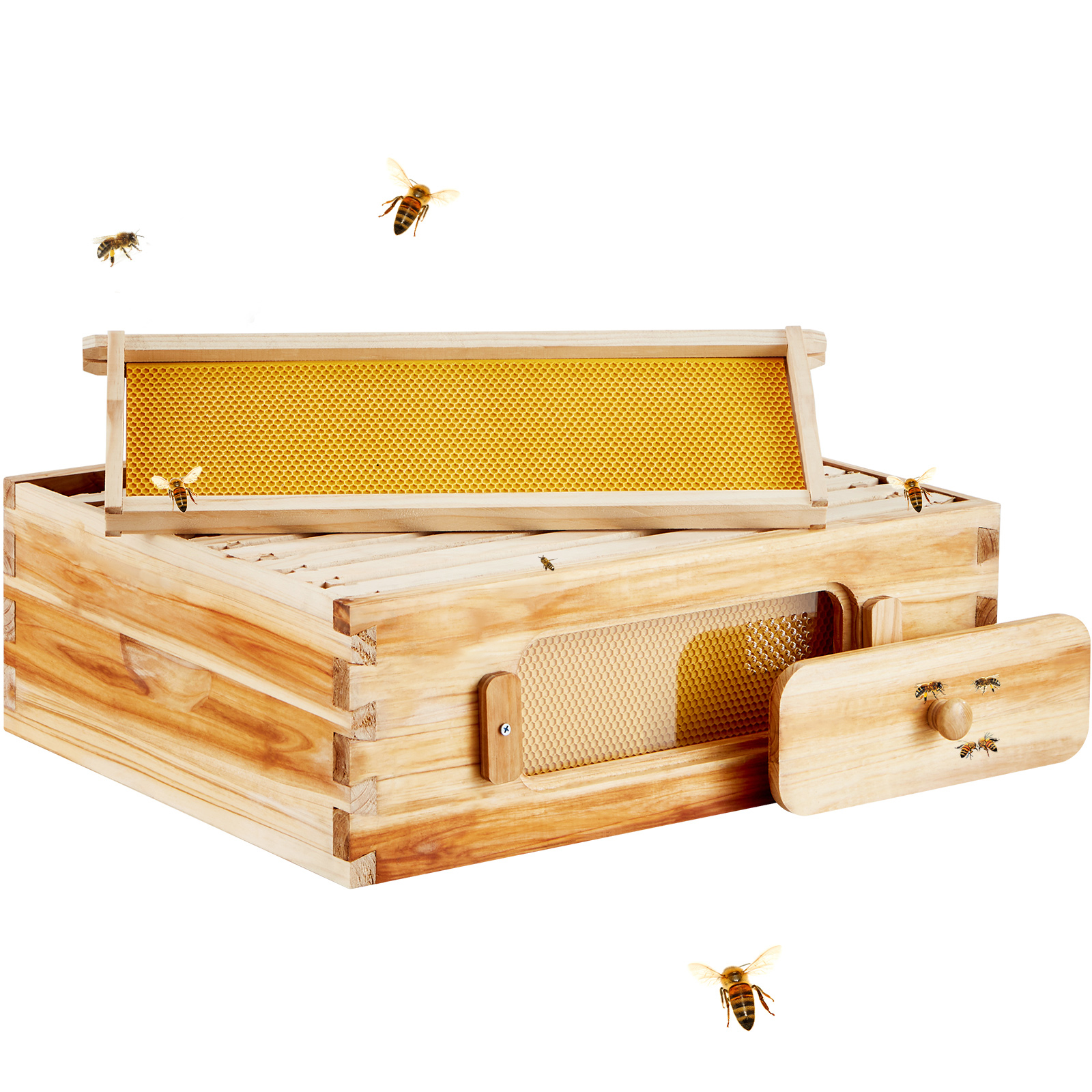 Bee Hive Langstroth Deep Beehive Kit 10 Frames Acrylic Bee Windows | eBay