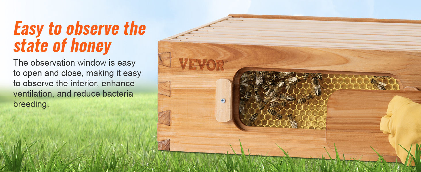 VEVOR Bee Hive, 10-Frame Complete Beehive Kit, 100% Beeswax Natural ...