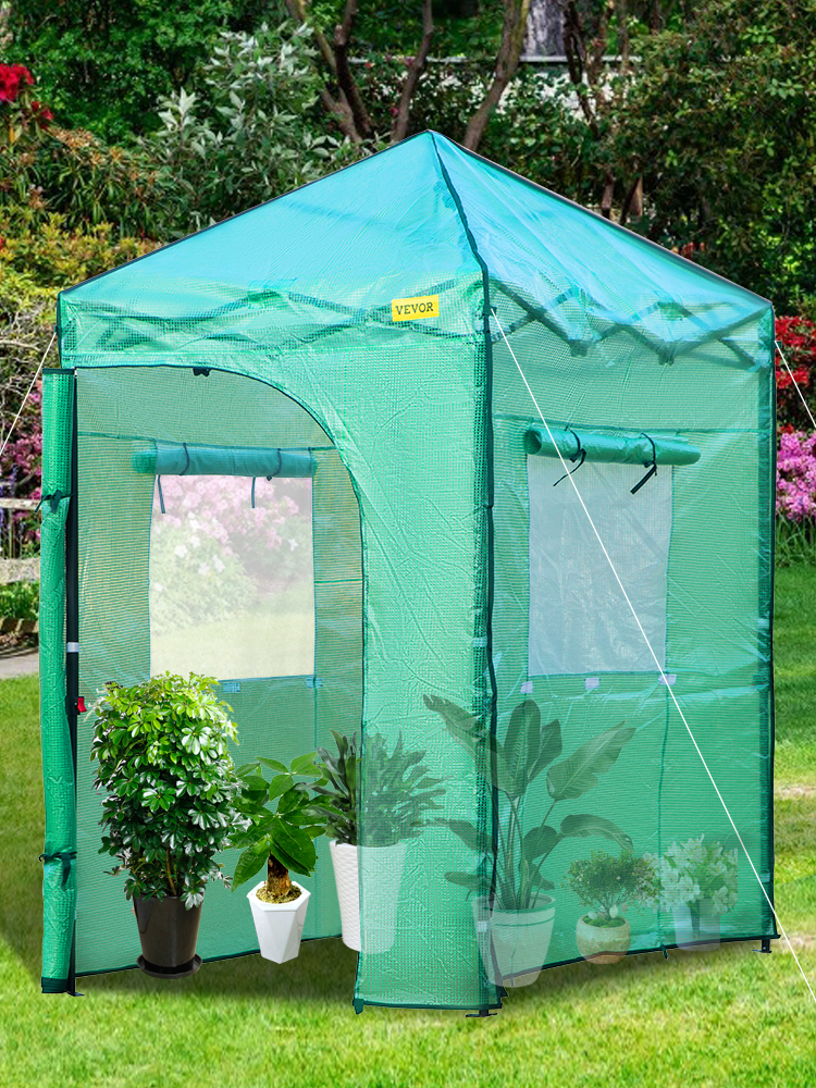 walk-in greenhouse,6 x 4 x 8 FT,pop-up design