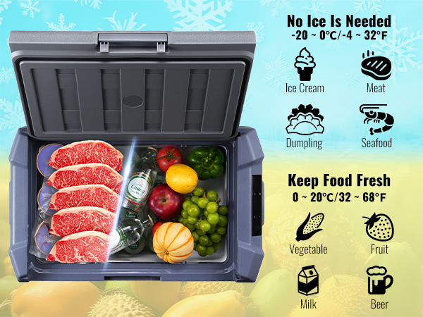 Car Refrigerator Freezer 15L/25/30/35/45/55L Dual Zone Car Fridge