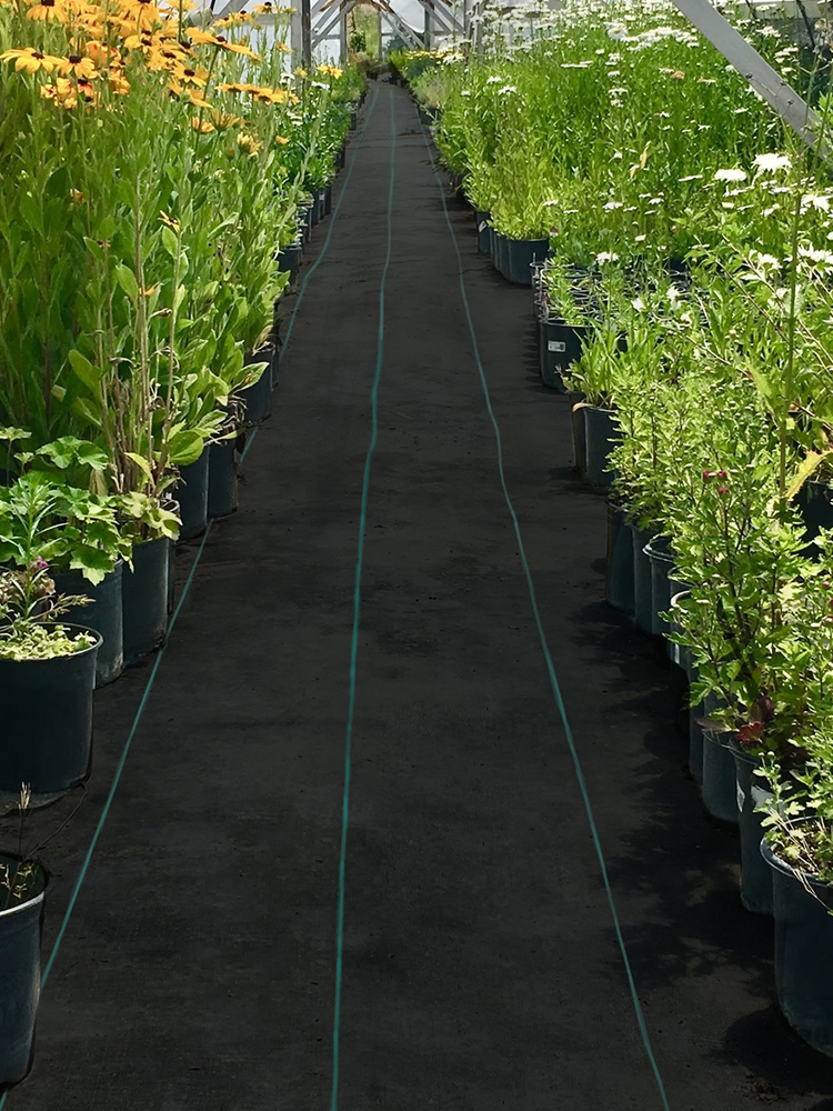 weed barrier,5 oz,PP material