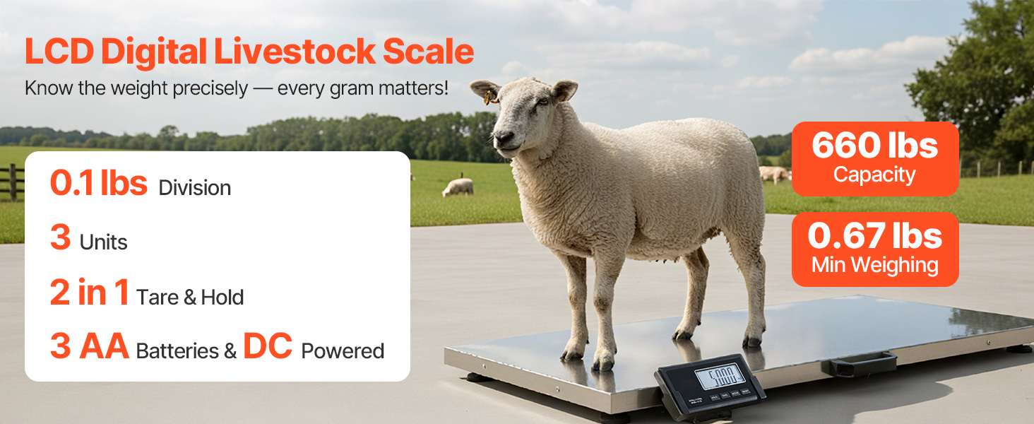 Shipping scale with large package