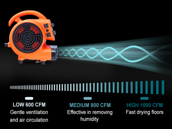 BENTISM Floor Blower Fan Air Mover 1000 CFM 3-Speed 1/4 HP Floor Carpet  Dryer