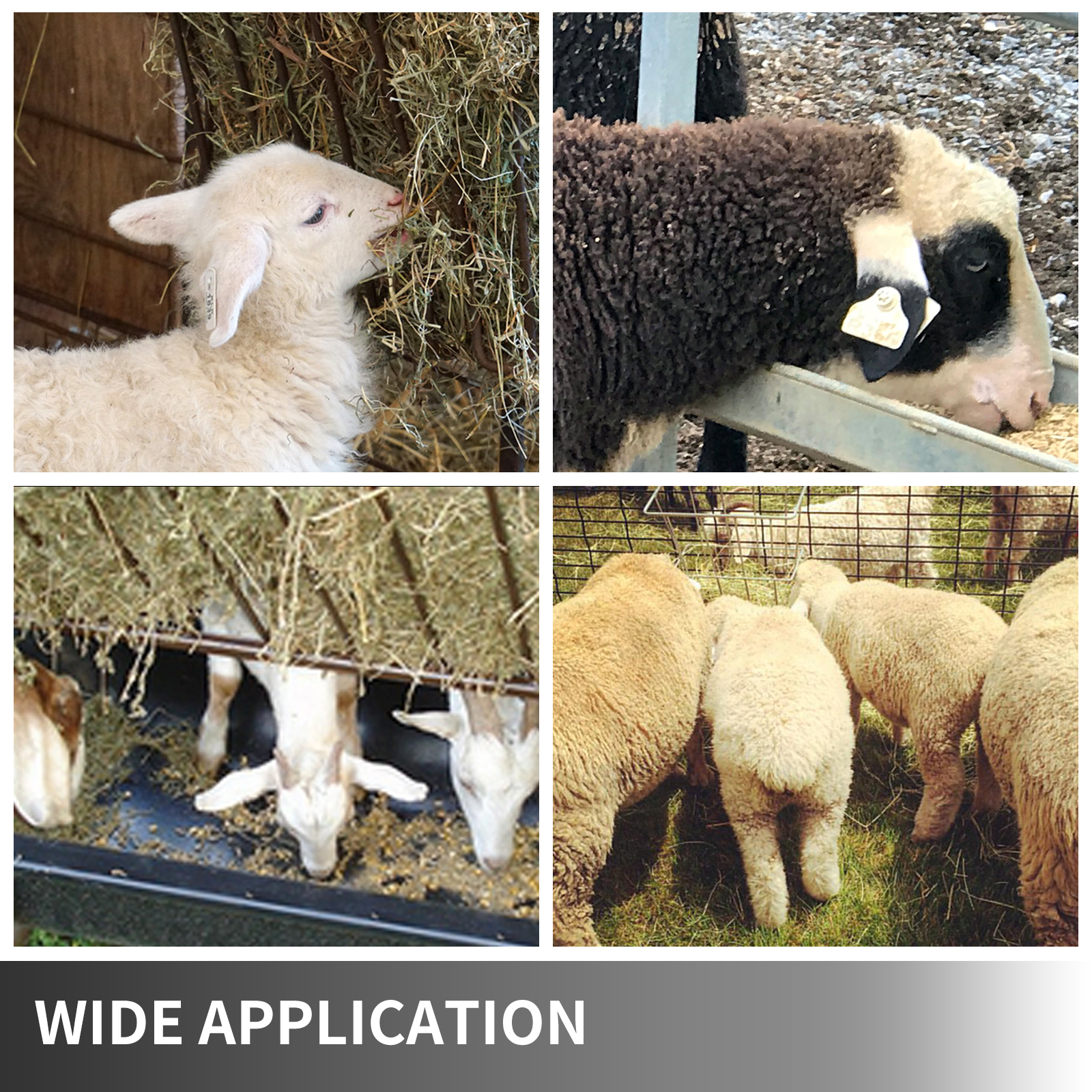 VEVOR Hay and Grain Feeder 2 In 1 Horse Stall Feeder Galvanized Sheet