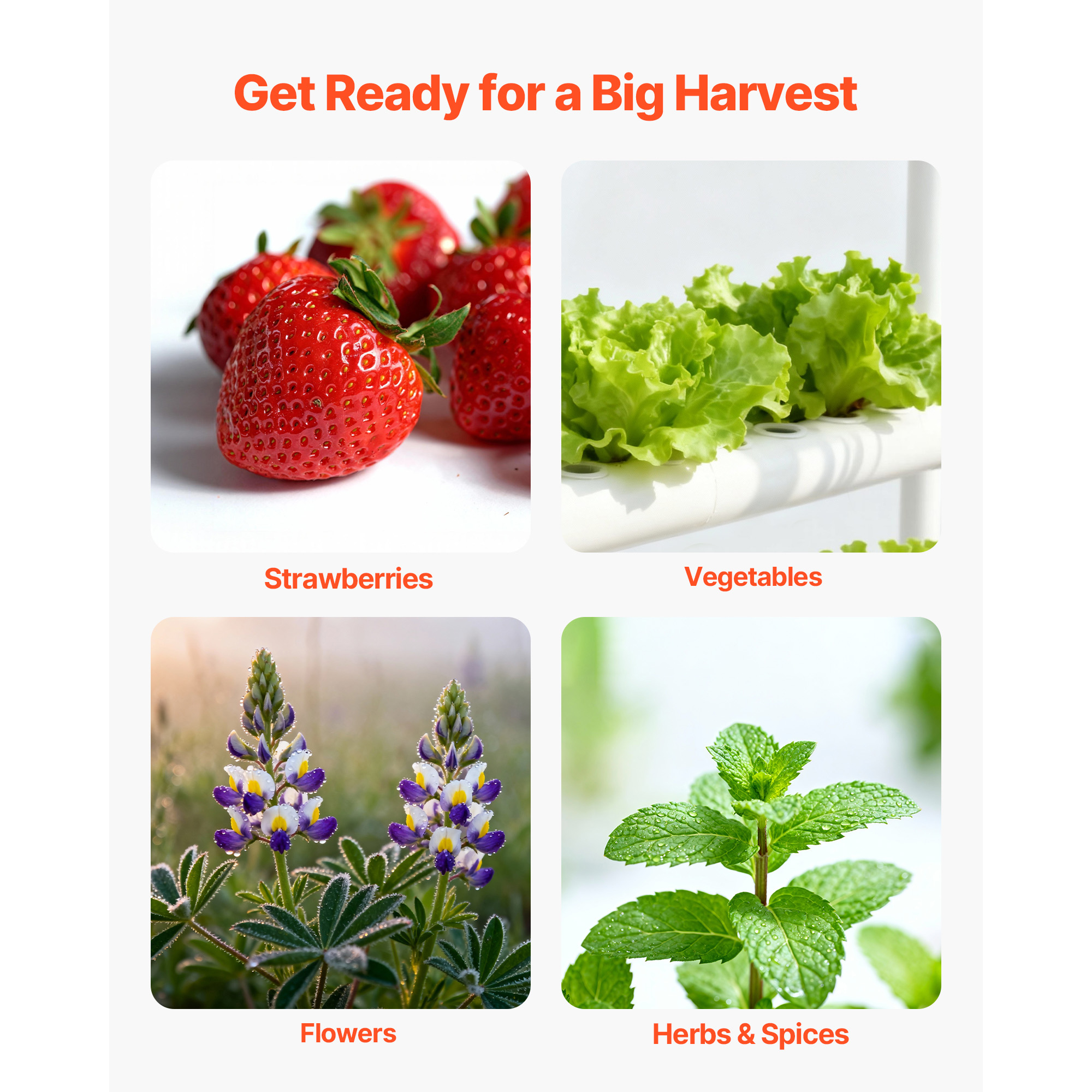Hydroponic Site Grow Kit 36 90 108 Planting Sites 1 / 3 Layer Hydroponics System