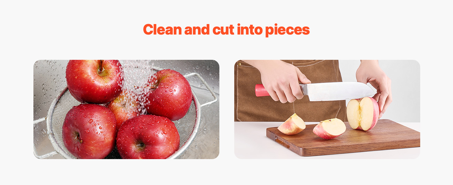 Fruit Wine Press A100 1.16w