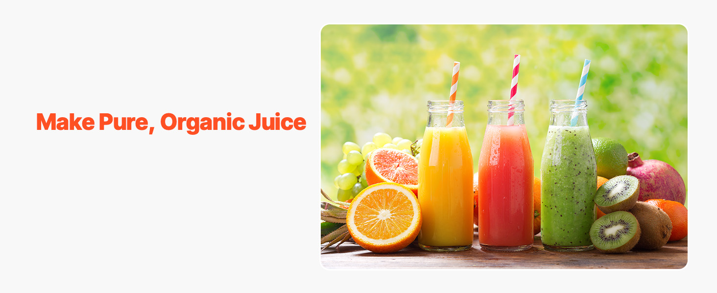 Fruit Wine Press A100 1.20w