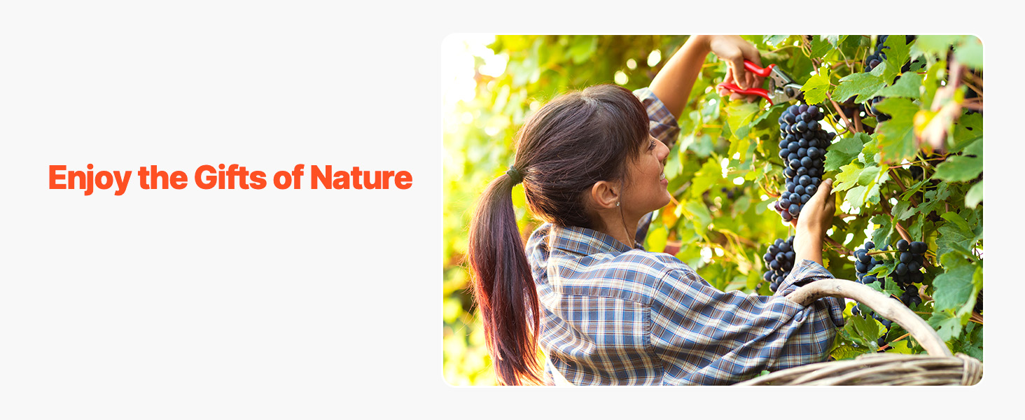 Fruit Wine Press A100 1.22w