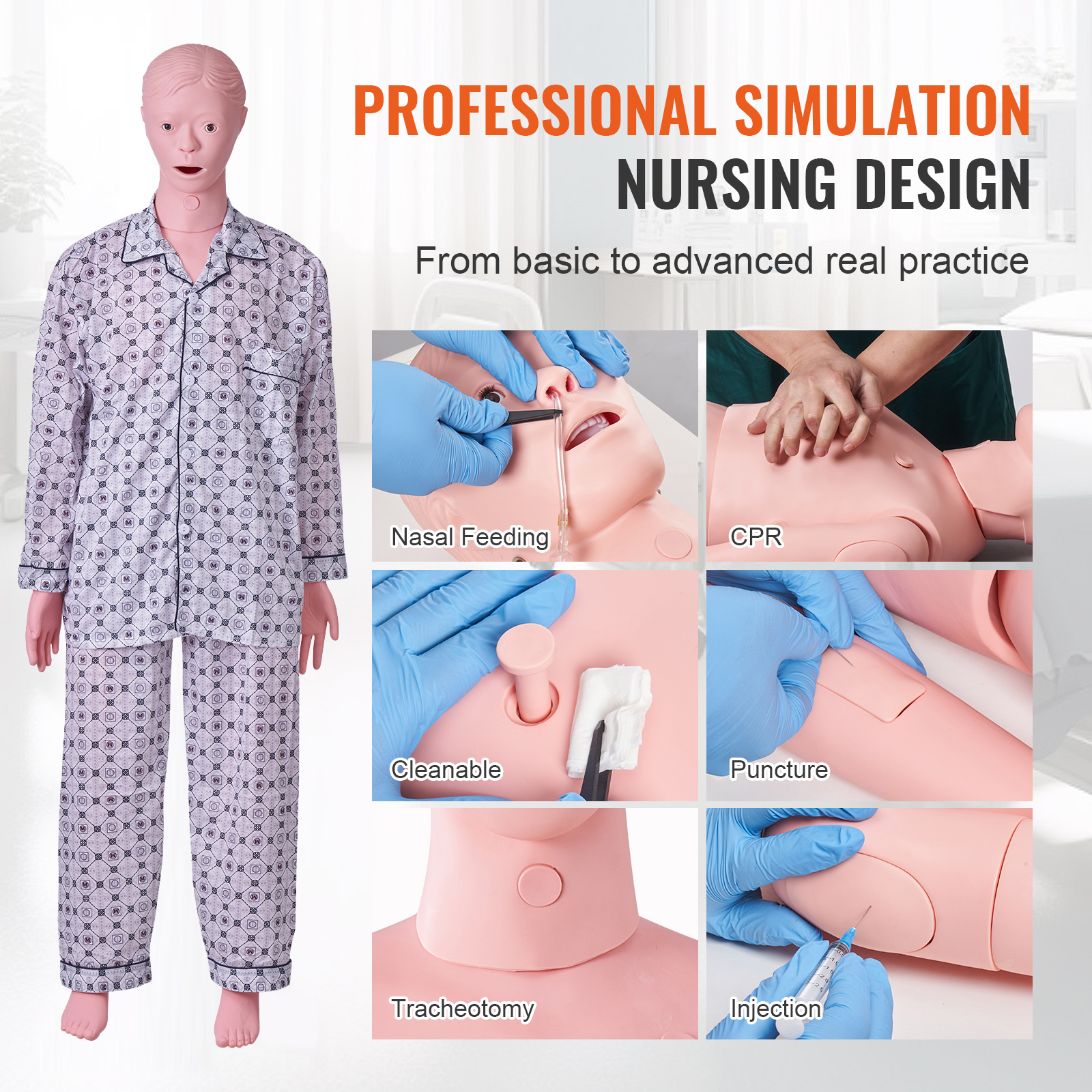 Male/Female Manikin Model Anatomical Nursing Training Patient Care Teach - Picture 17 of 38