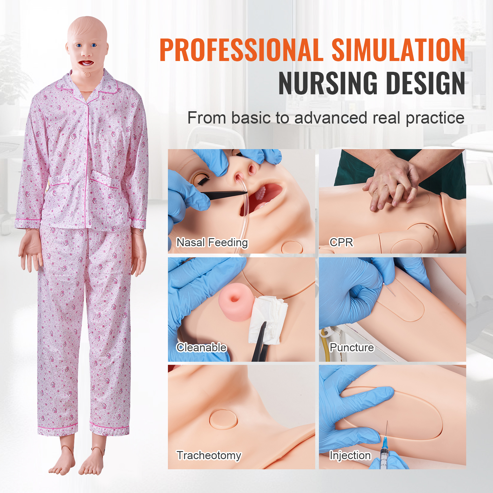 Male/Female Manikin Model Anatomical Nursing Training Patient Care Teach - Picture 29 of 38