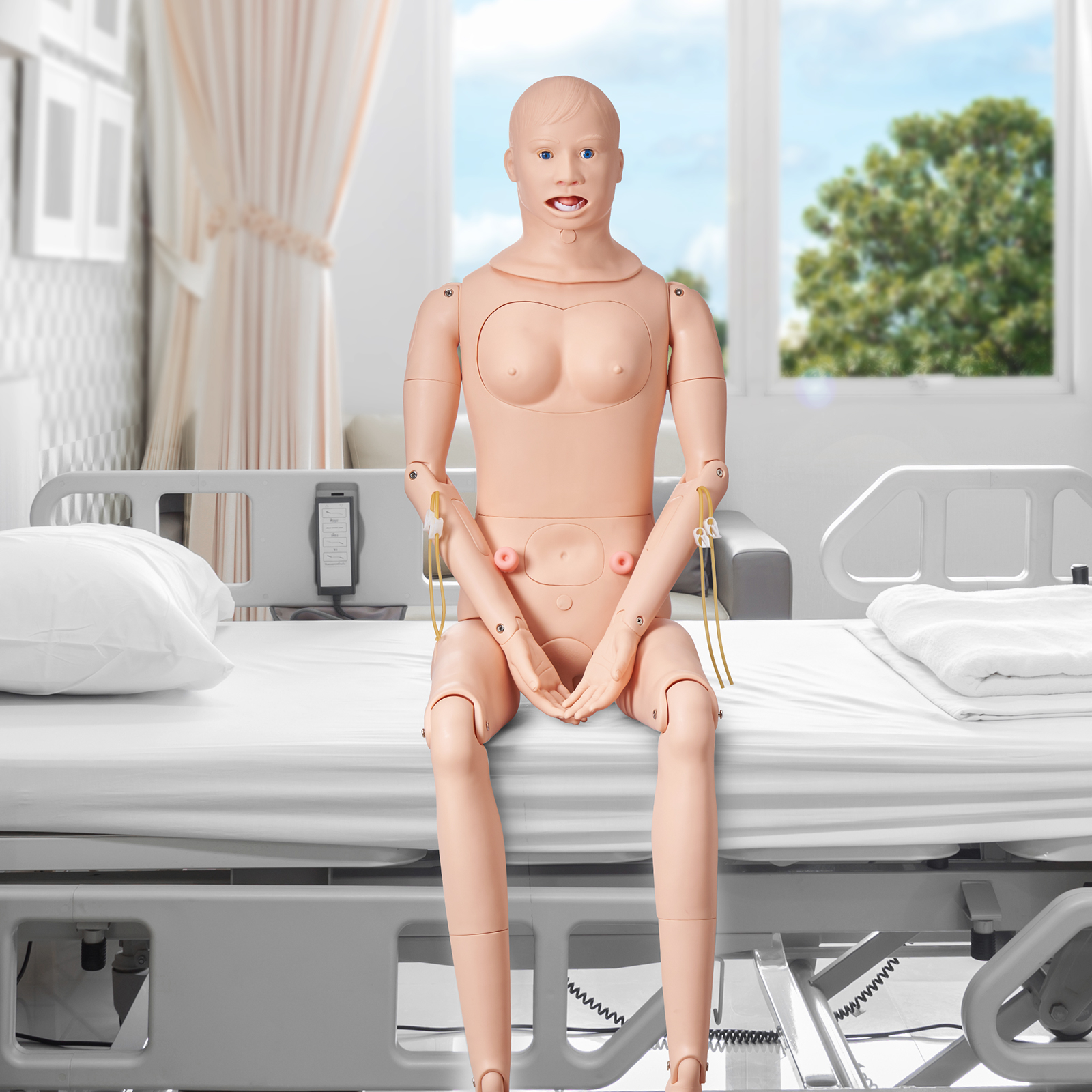 Male/Female Manikin Model Anatomical Nursing Training Patient Care Teach - Picture 34 of 38