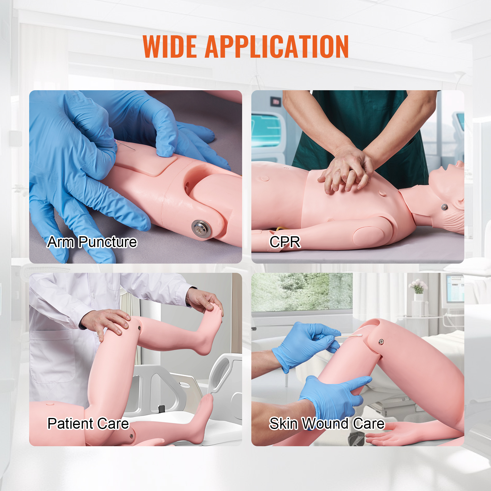 Male/Female Manikin Model Anatomical Nursing Training Patient Care Teach - Picture 8 of 38