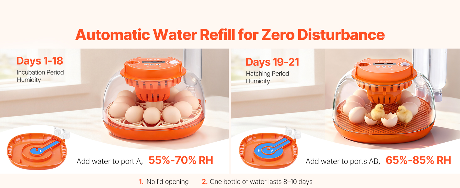 Egg candler showing viable and non-viable egg examples