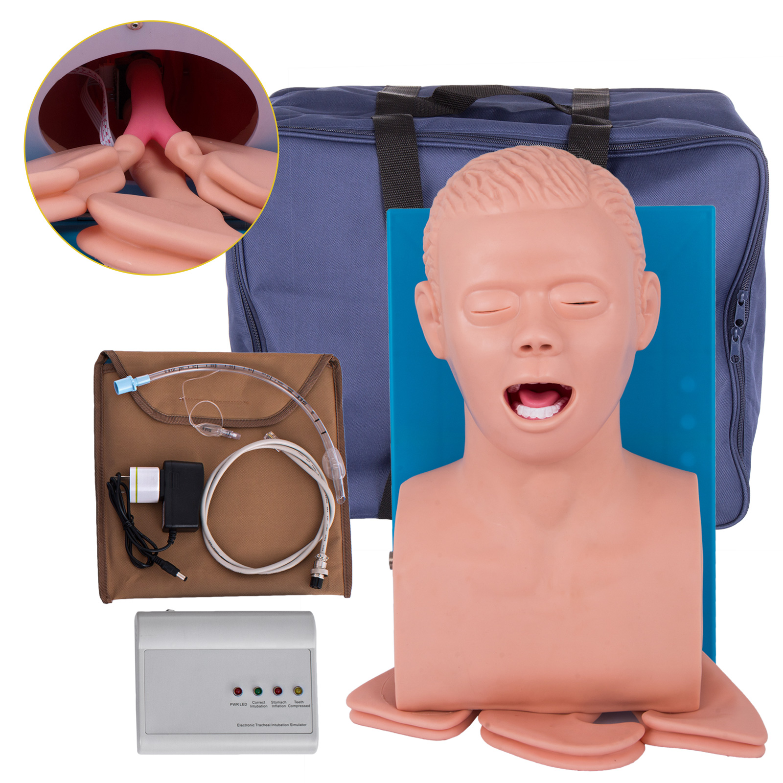 VEVOR PVC Adult Intubation Manikin Teaching Model, Airway Management