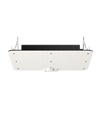 Lampe de Croissance LED, 300 W, Spectre Complet
