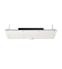 Lampe de Croissance LED, 300 W, Spectre Complet