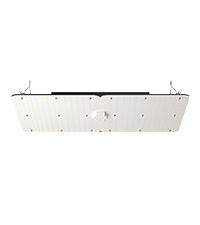 Lampe de Croissance LED, 300 W, Spectre Complet