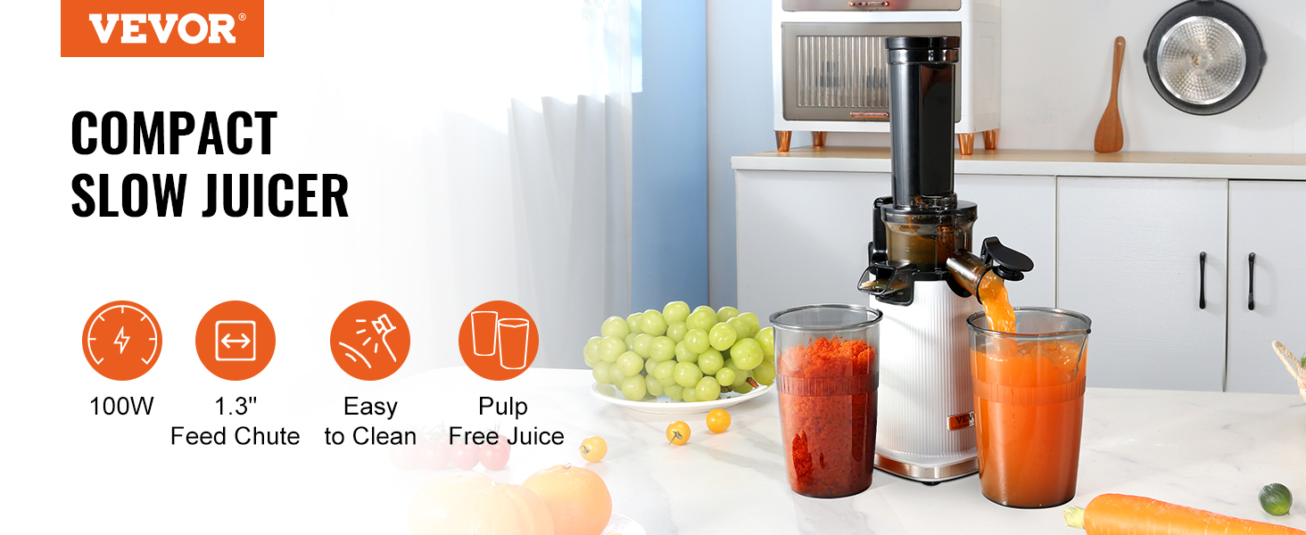 VEVOR Juicer Machine, 850W Motor Centrifugal Juice Extractor, Easy Clean Centrifugal Juicers, Big Mouth Large 3 in. Feed Chute, Silver