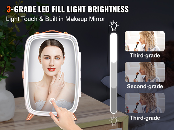 Mini Frigo 8L Et Miroir LED Gardez vos produits au frais chez vous Et En  Voiture