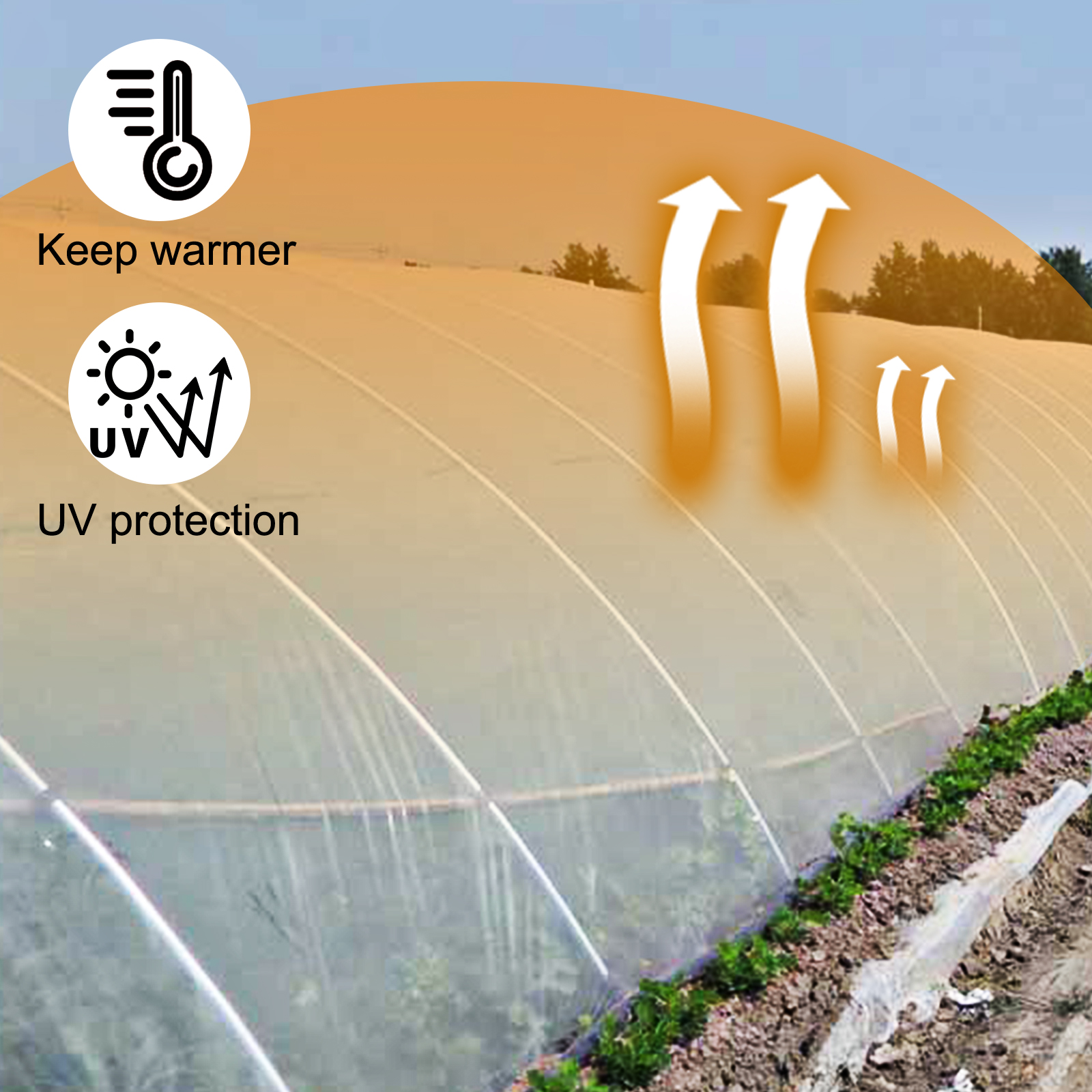 Película de plástico para invernaderos de polietileno transparente de 6  mil, cubierta resistente a los rayos UV de 4 años (5 pies de ancho x 25  pies