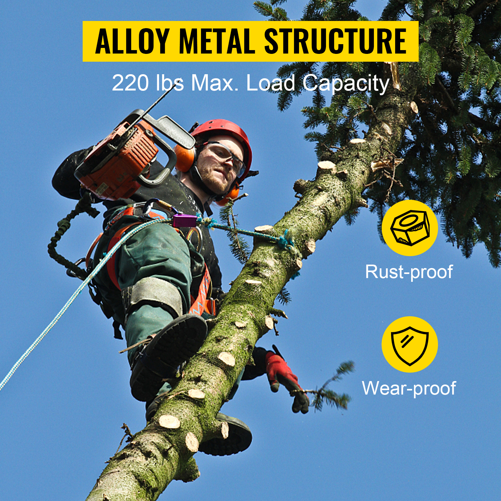 Tree work for the Beginner. How to climb, Set rigging, Spurs, Ropes &  harness. 