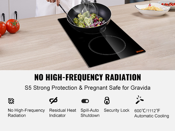 2-Burner Electric Induction Cooktop Stove Top Touch Control Child Lock 110V  HOT
