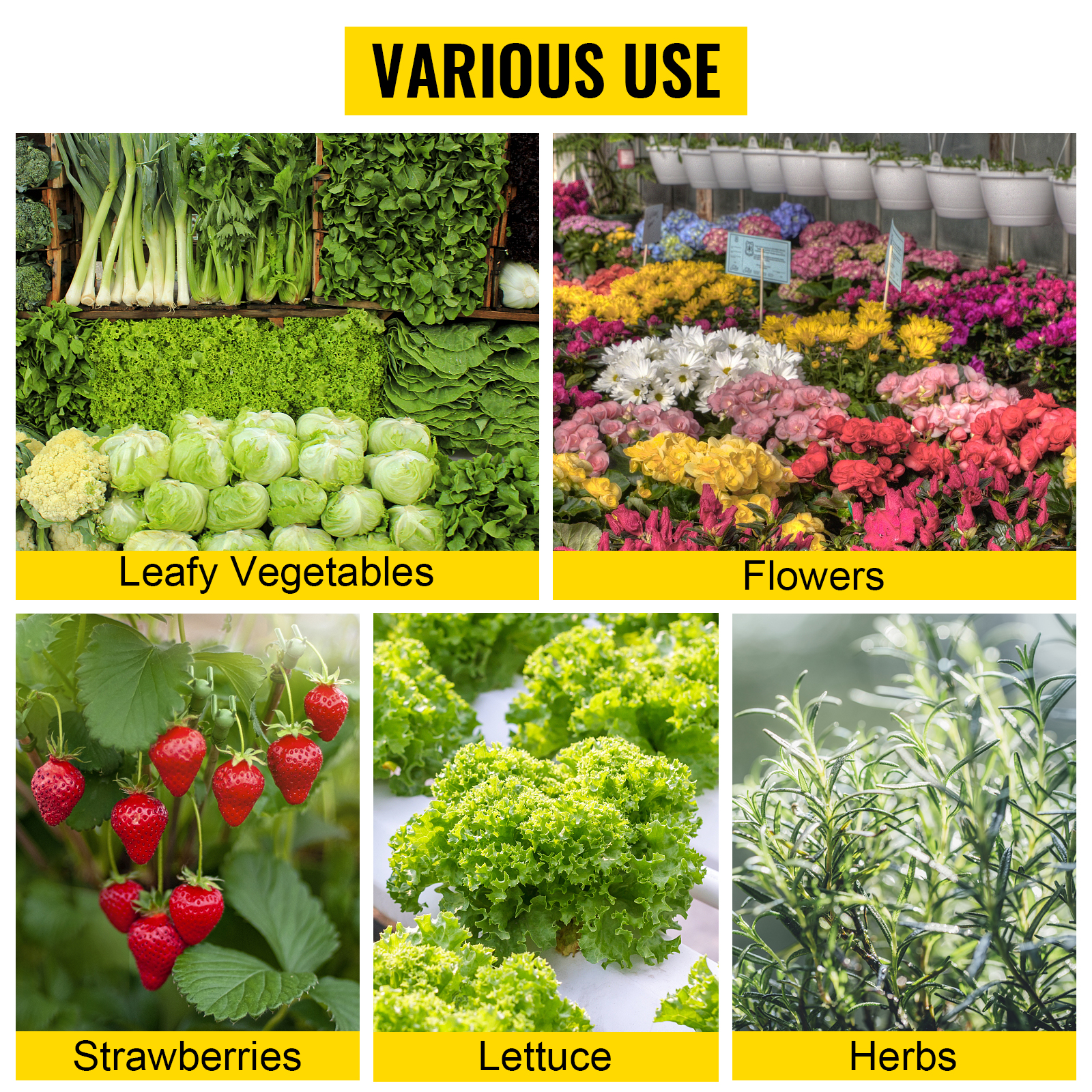 VEVOR Hydroponics Growing System, 36 Sites 4 Food-Grade PVC-U Pipes, 1 Layer Indoor Planting Kit with Water Pump, Timer, Nest Basket, Sponge for Fruits, Vegetables, Herb, White