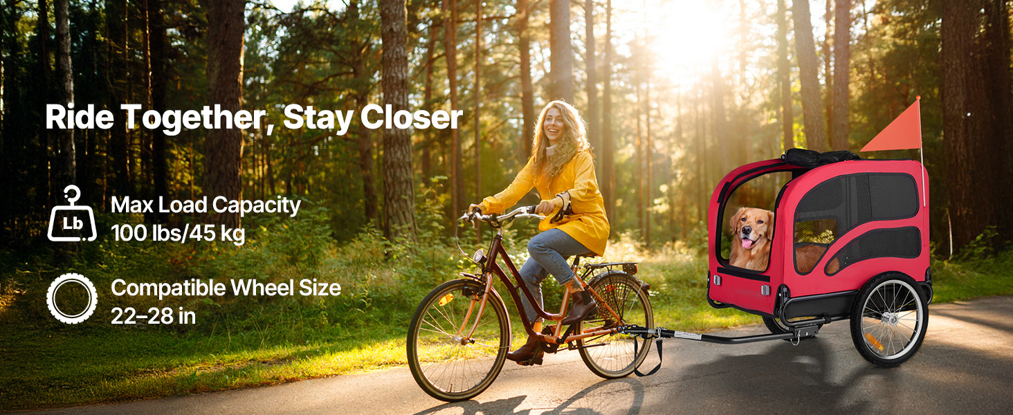 How to Travel on a Bike With a Cat: Ultimate Safety & Comfort Tips