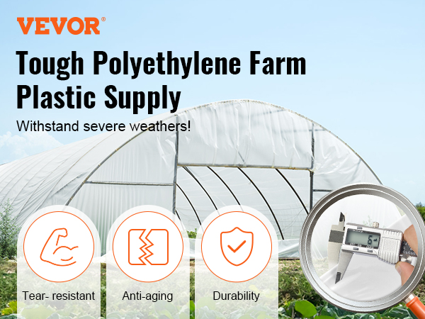 Farm Plastic Supply - Lámina de plástico transparente para invernaderos - 6  mil - (40 x 25 pies) - Película de polietileno resistente a los rayos