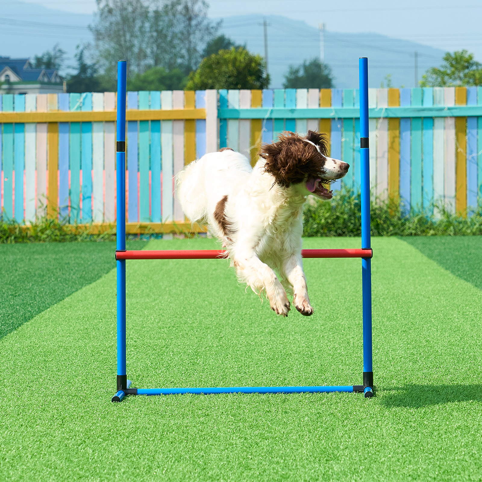VEVOR Dog Agility Training Equipment w/ Hurdles Cone/Tunnel / Jump/Tunnels Ring - Picture 34 of 98