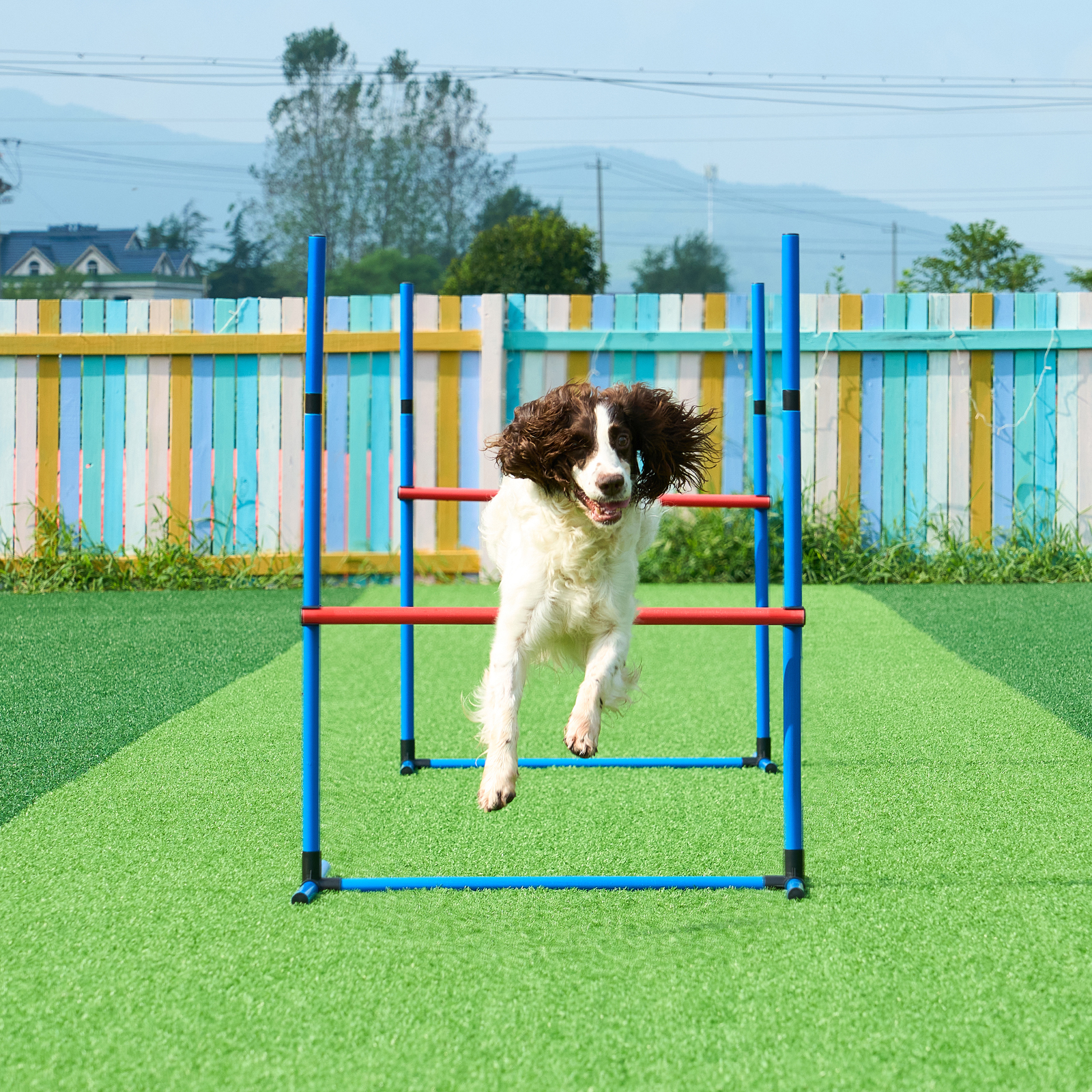VEVOR Dog Agility Training Equipment w/ Hurdles Cone/Tunnel / Jump/Tunnels Ring - Picture 70 of 98