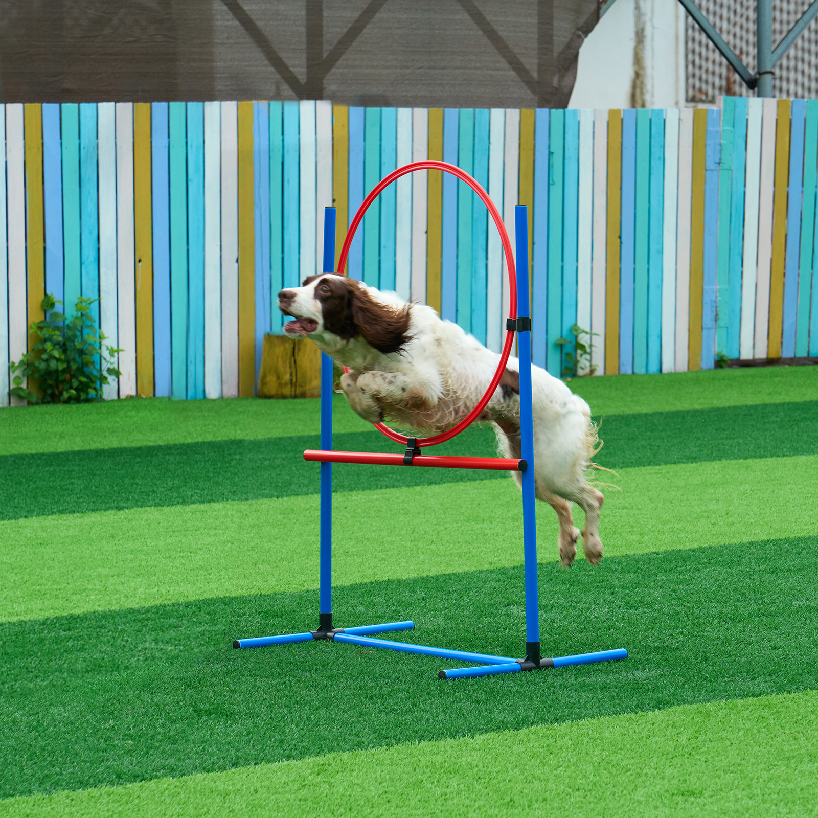 VEVOR Dog Agility Training Equipment w/ Hurdles Cone/Tunnel / Jump/Tunnels Ring - Picture 22 of 98