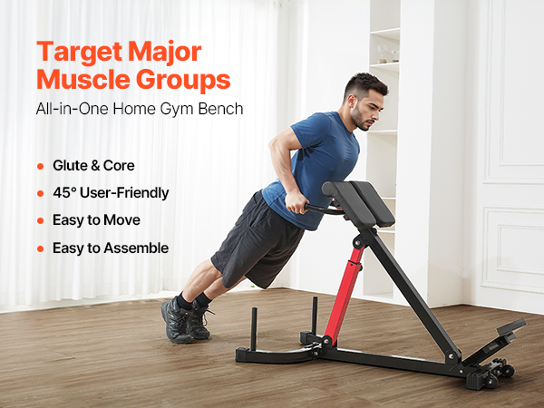 Are There Adjustable Roman Chairs for Multiple Users? Discover Versatility!