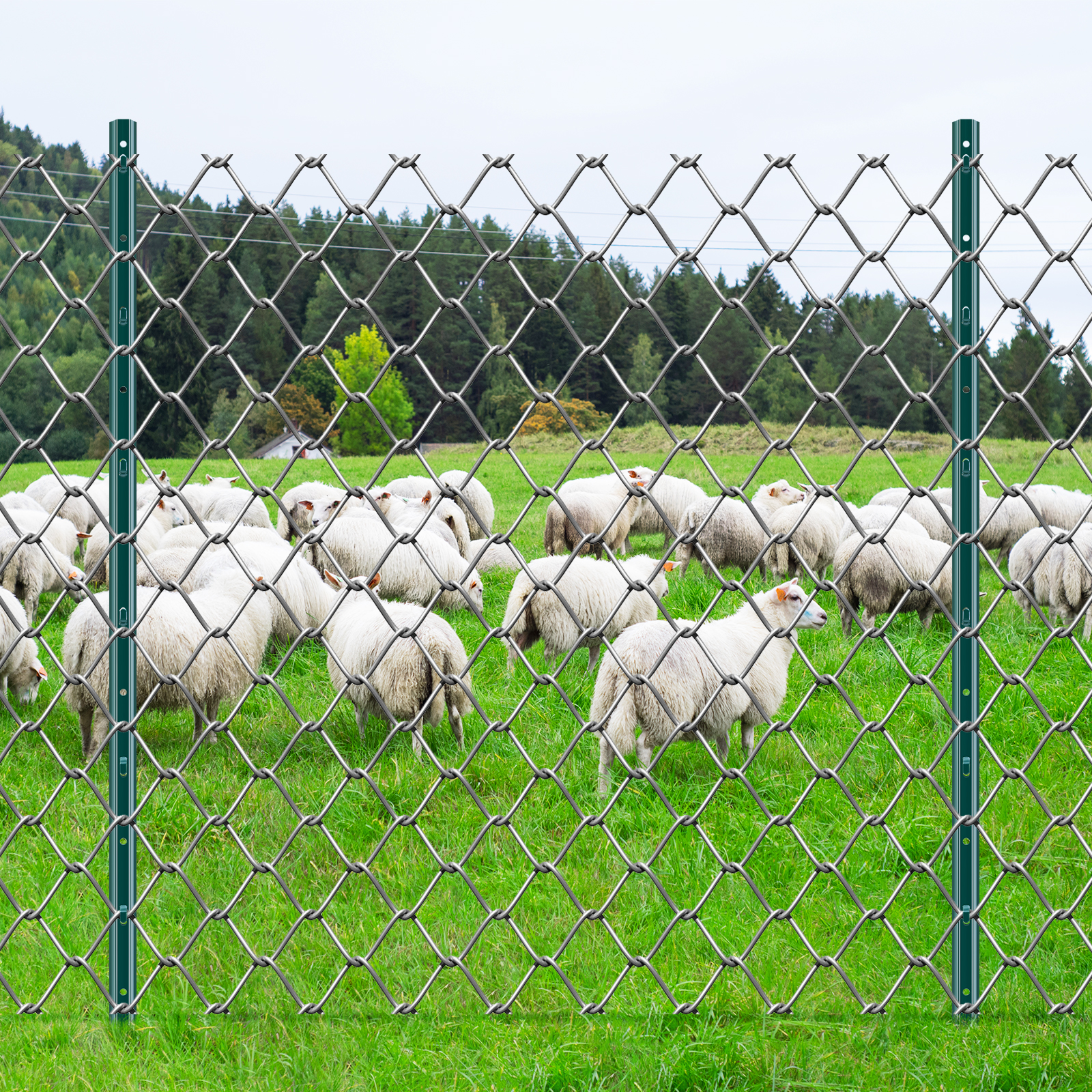 Lot de 10/6 poteaux de clôture 3/4/5/6/7 pieds poteaux de clôture en métal robustes - Photo 46 sur 74
