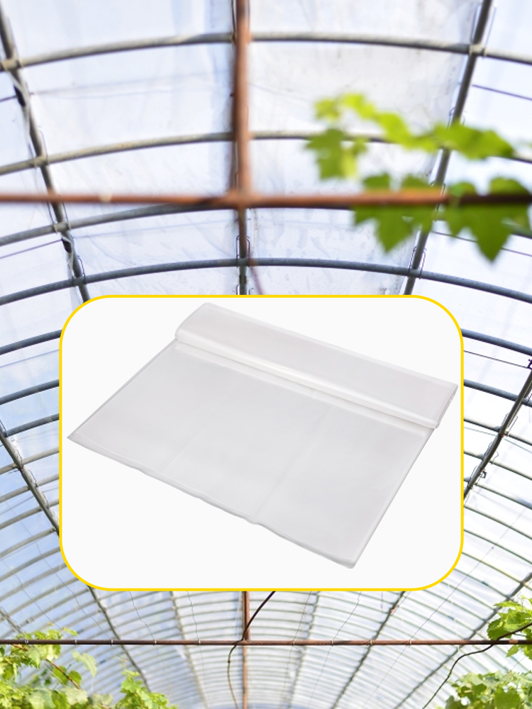 VEVOR Película de invernadero VEVOR, lámina de plástico para invernadero de  12' x 100', cubierta solar de 6 mil de espesor para invernadero, cubierta de  polietileno transparente, suministro de plástico agrícola a