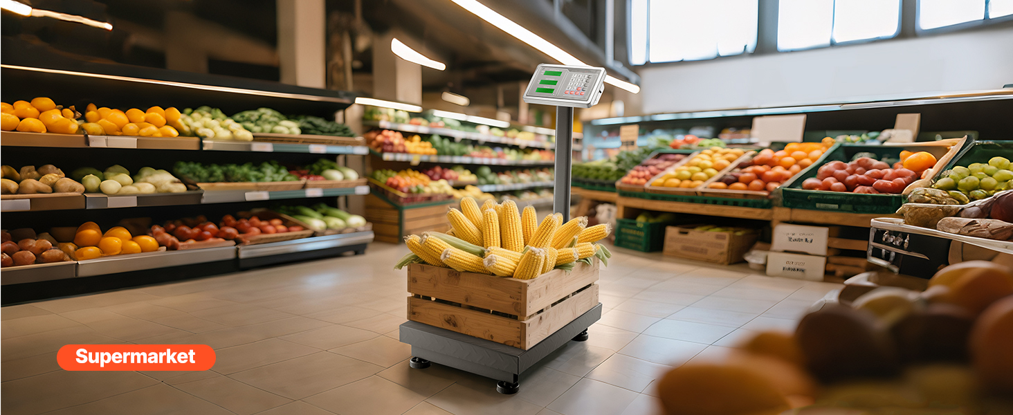 Balance au sol SucceBuy pour logistique