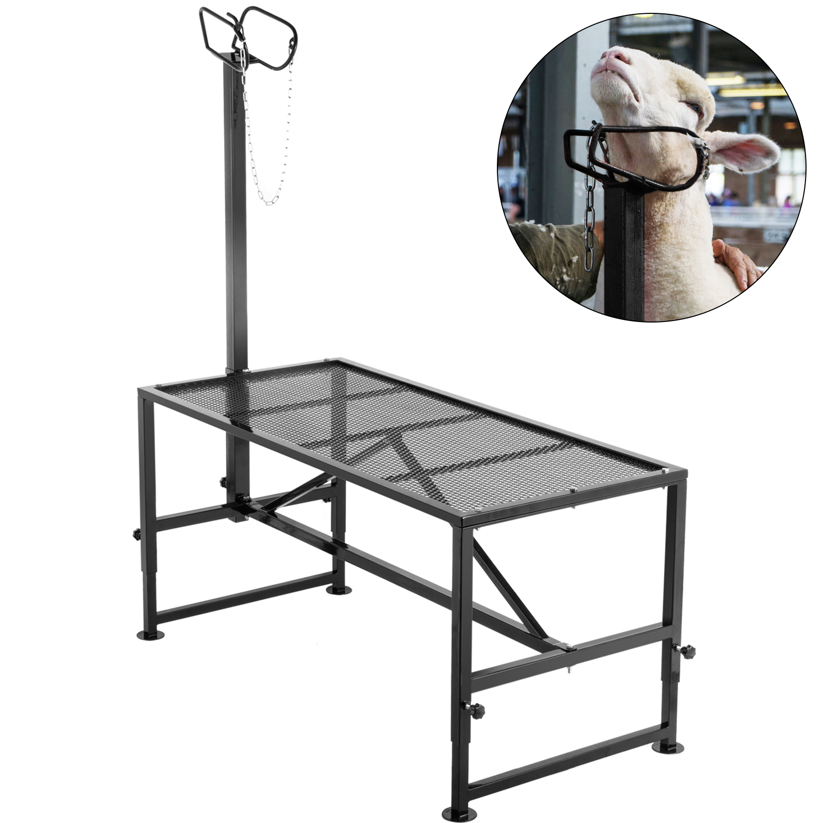 thumbnail interactive-video image 1 of 51x23 Adjustable Goat Milk Stand - Livestock Husbandry & Trimming Station 1 of 4