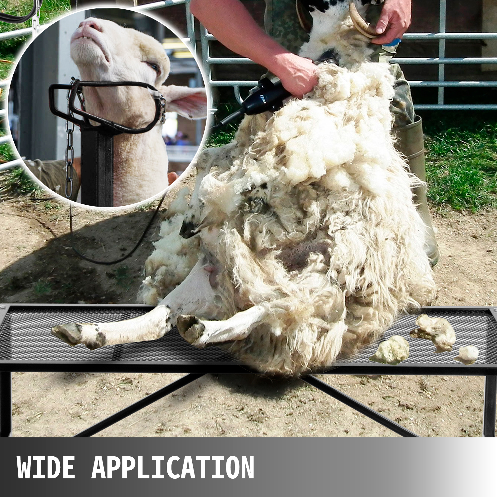 VEVOR Livestock Stand 51x23 inches, Trimming Stand with Straight Head Piece, Goat Trimming Stand Metal Frame Sheep Shearing Stand Livestock Trimming Stands