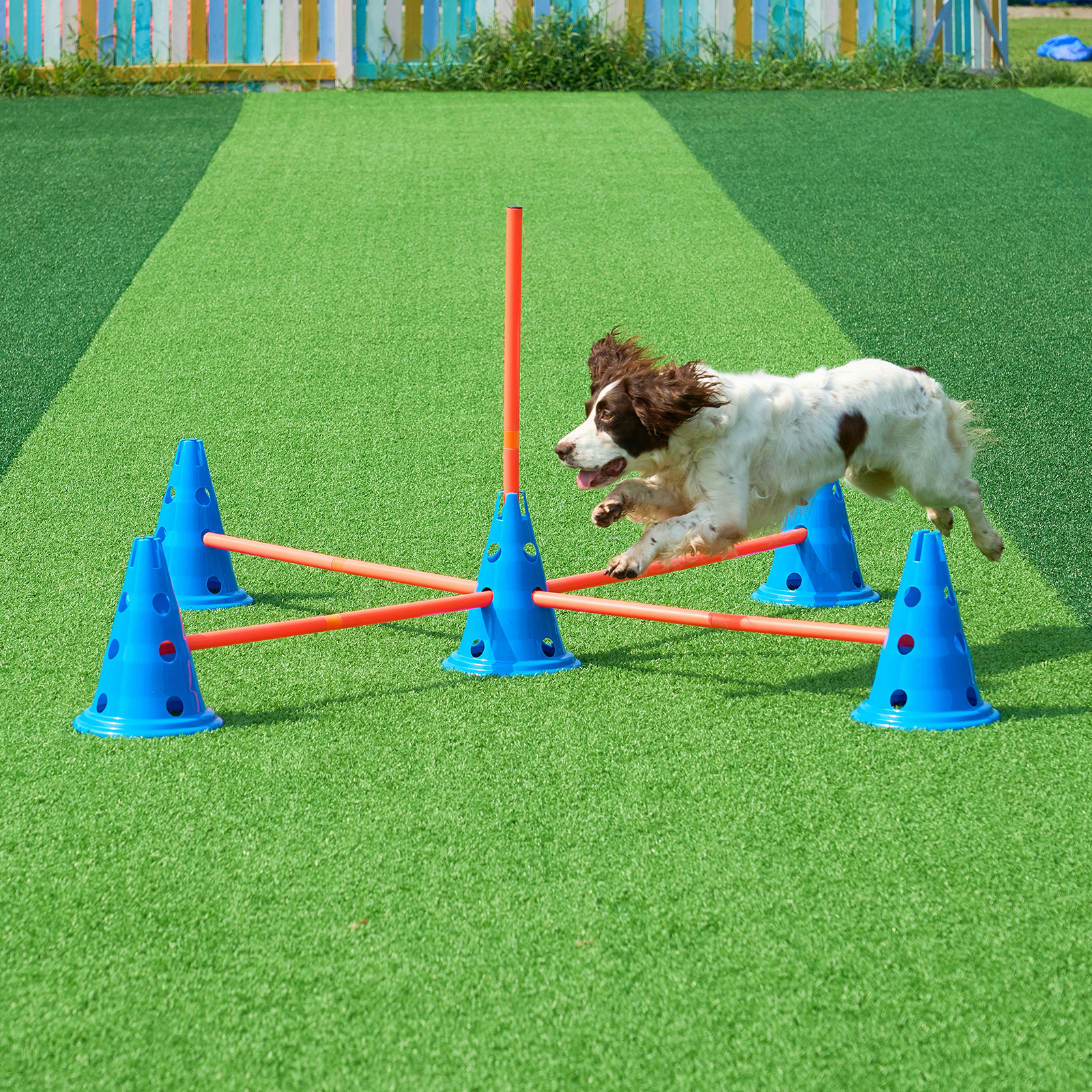 VEVOR Dog Agility Training Equipment w/ Hurdles Cone/Tunnel / Jump/Tunnels Ring - Picture 10 of 98