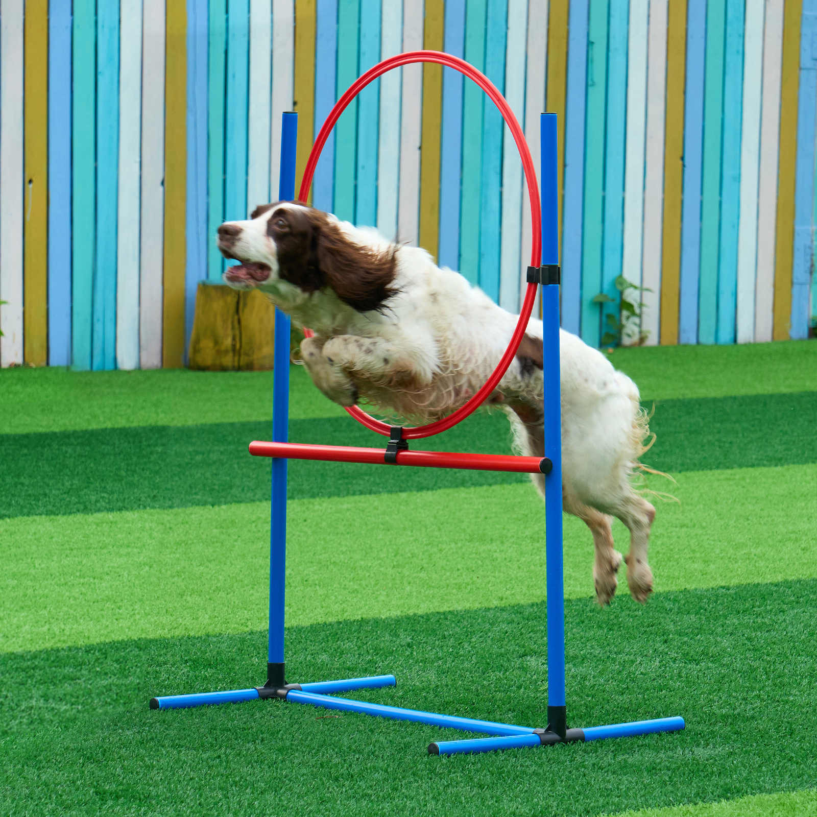 VEVOR Dog Agility Training Equipment w/ Hurdles Cone/Tunnel / Jump/Tunnels Ring - Picture 46 of 98